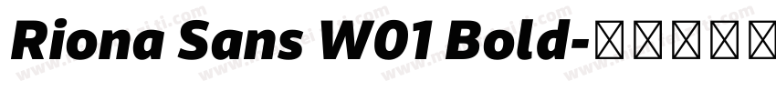 Riona Sans W01 Bold字体转换